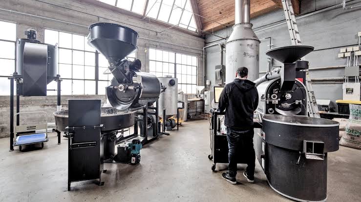 A roaster working between two production drum roasters in a roasting hall.